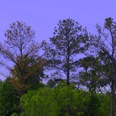 博鱼电竞下载手机版